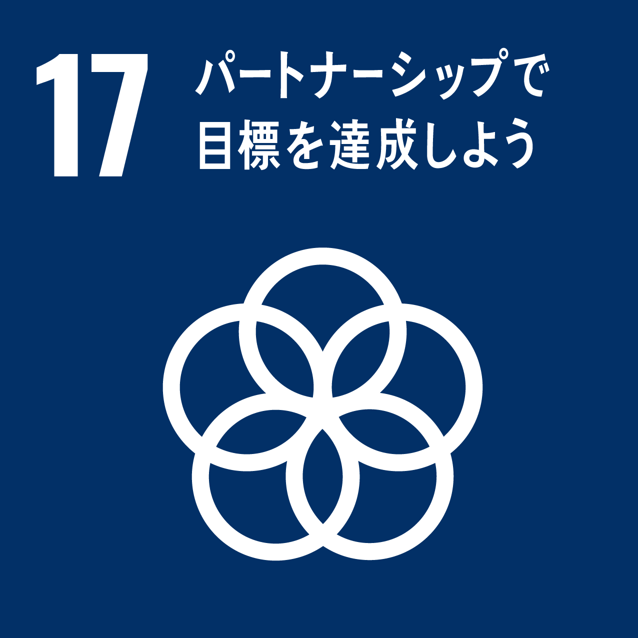 17．「パートナーシップで目標を達成しよう」